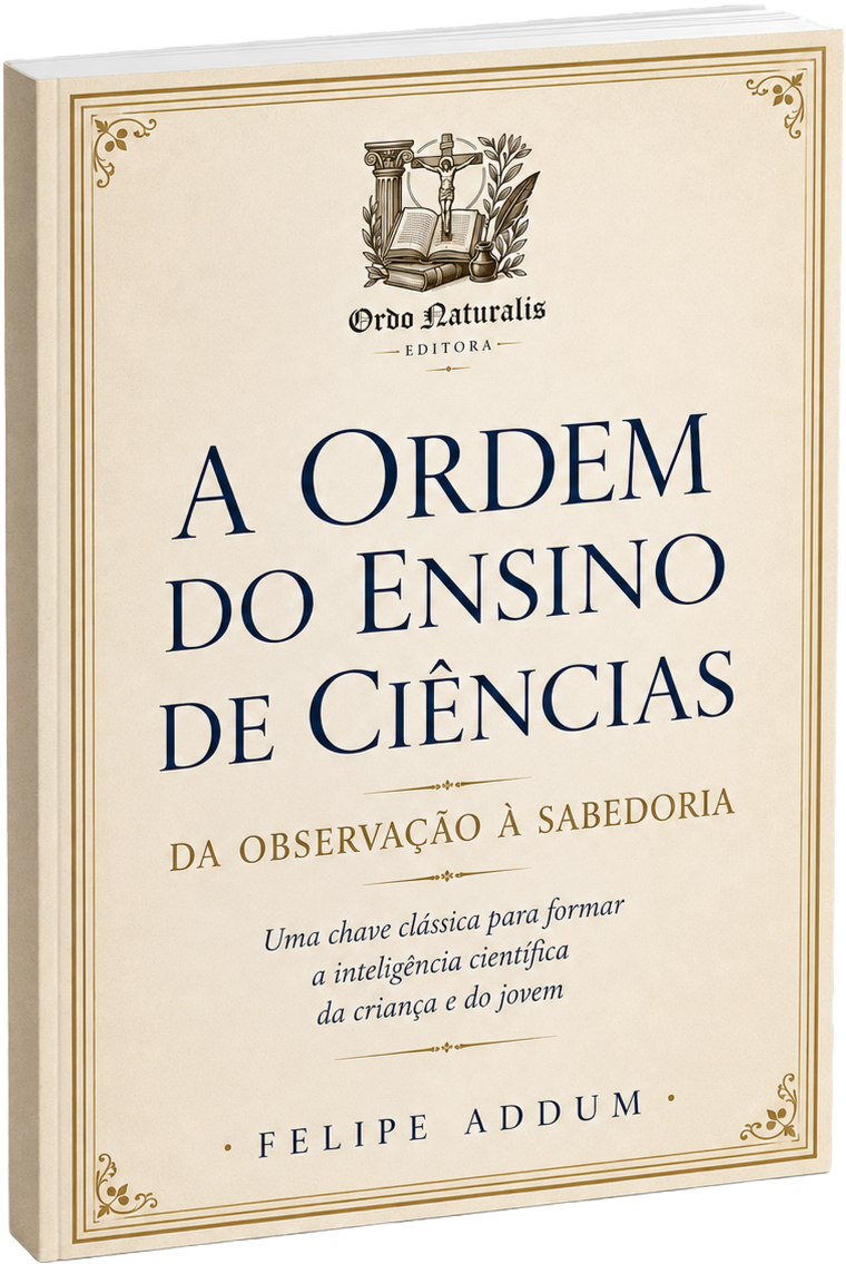 A Ordem do Ensino de Ciências - Livro Físico