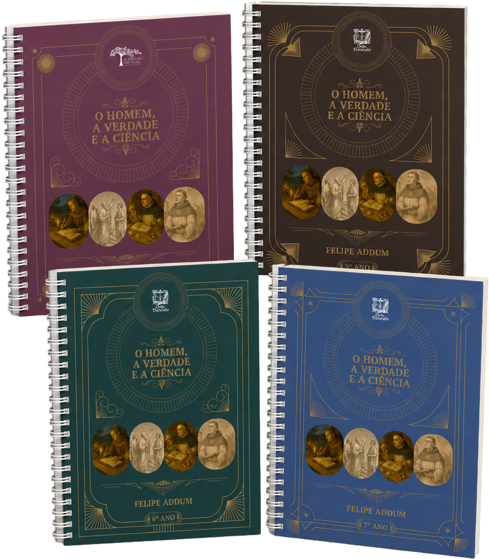 Oferta Combo Fundamental - Livro Físico