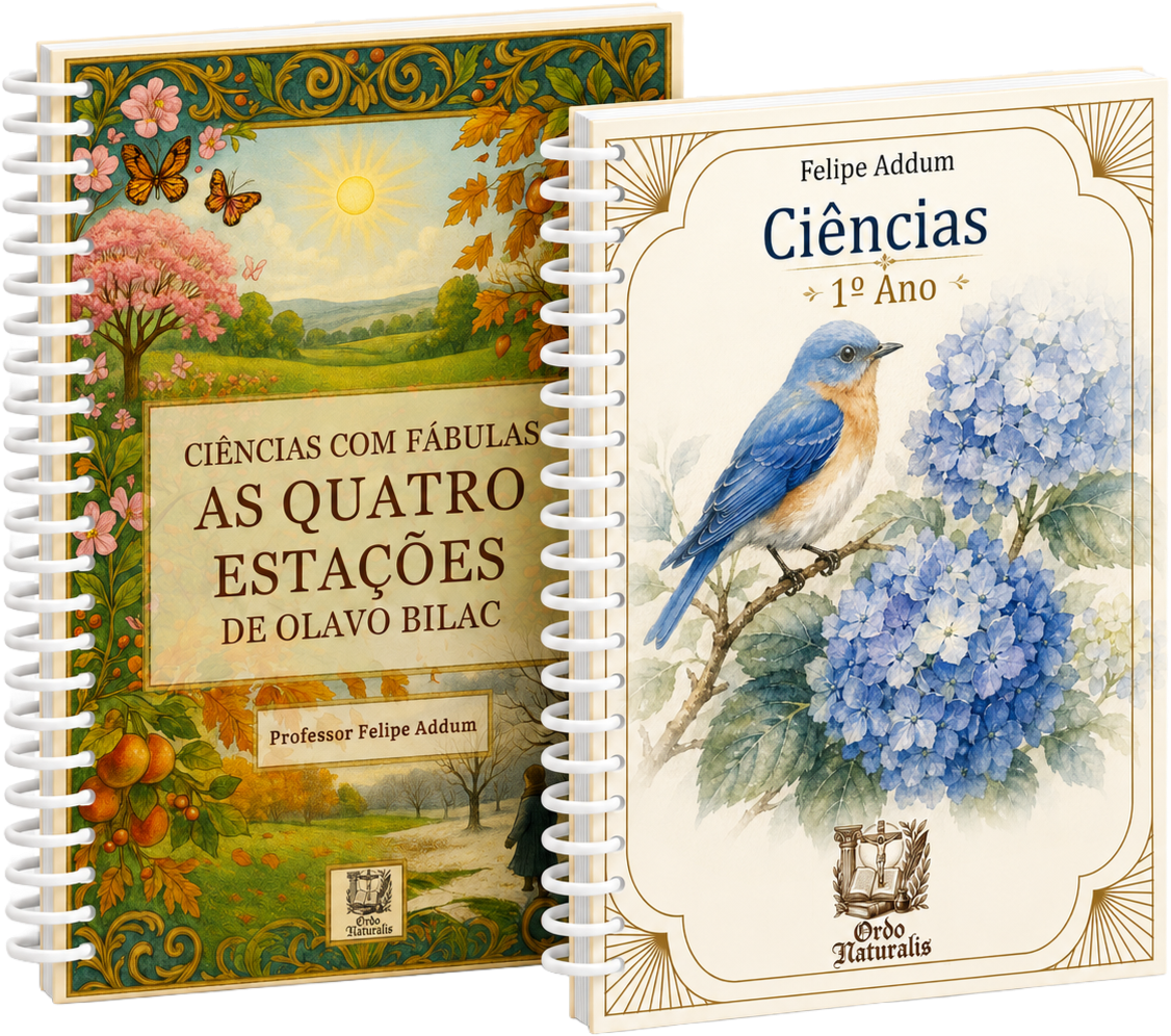 Kit Ciências — 1º ano